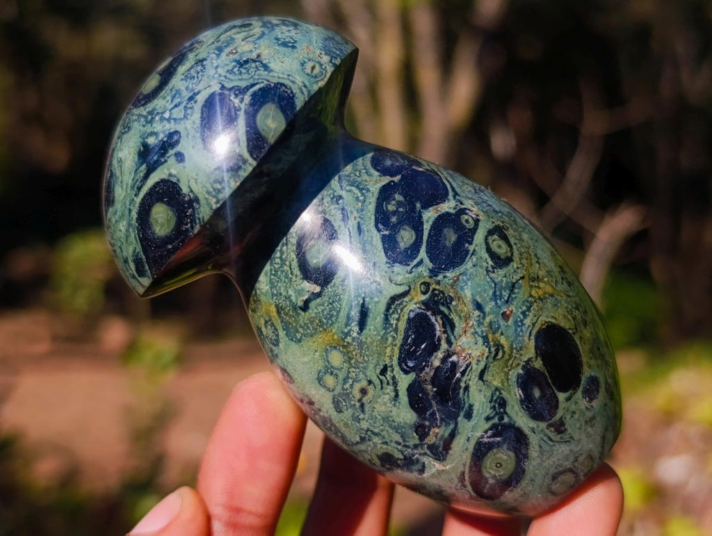 Polished Large Stromatolite Mushrooms x 6 From Katsepy, Madagascar - Toprock Gemstones and Minerals 