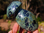 Polished Large Stromatolite Mushrooms x 6 From Katsepy, Madagascar - Toprock Gemstones and Minerals 