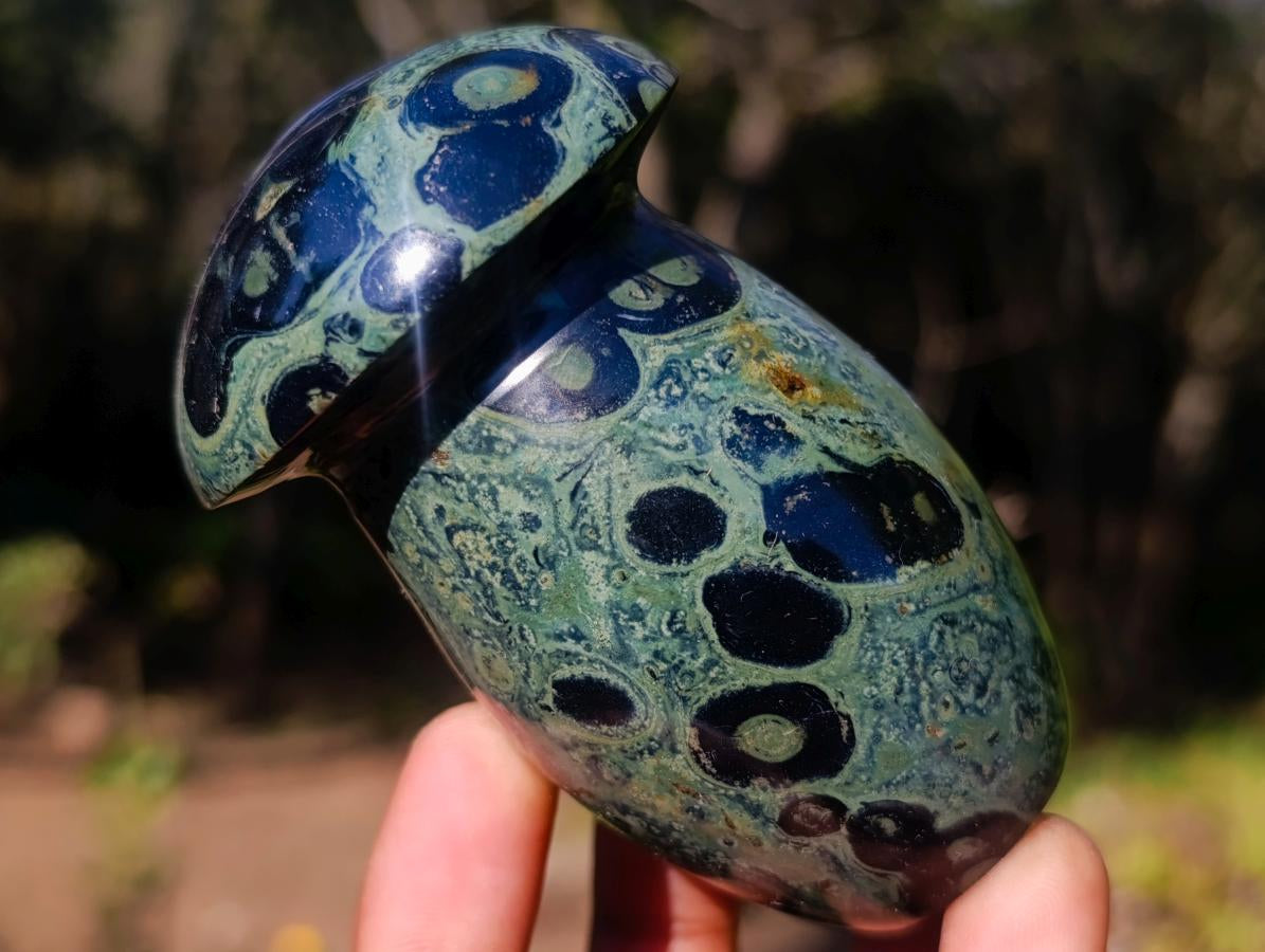 Polished Large Stromatolite Mushrooms x 6 From Katsepy, Madagascar - Toprock Gemstones and Minerals 