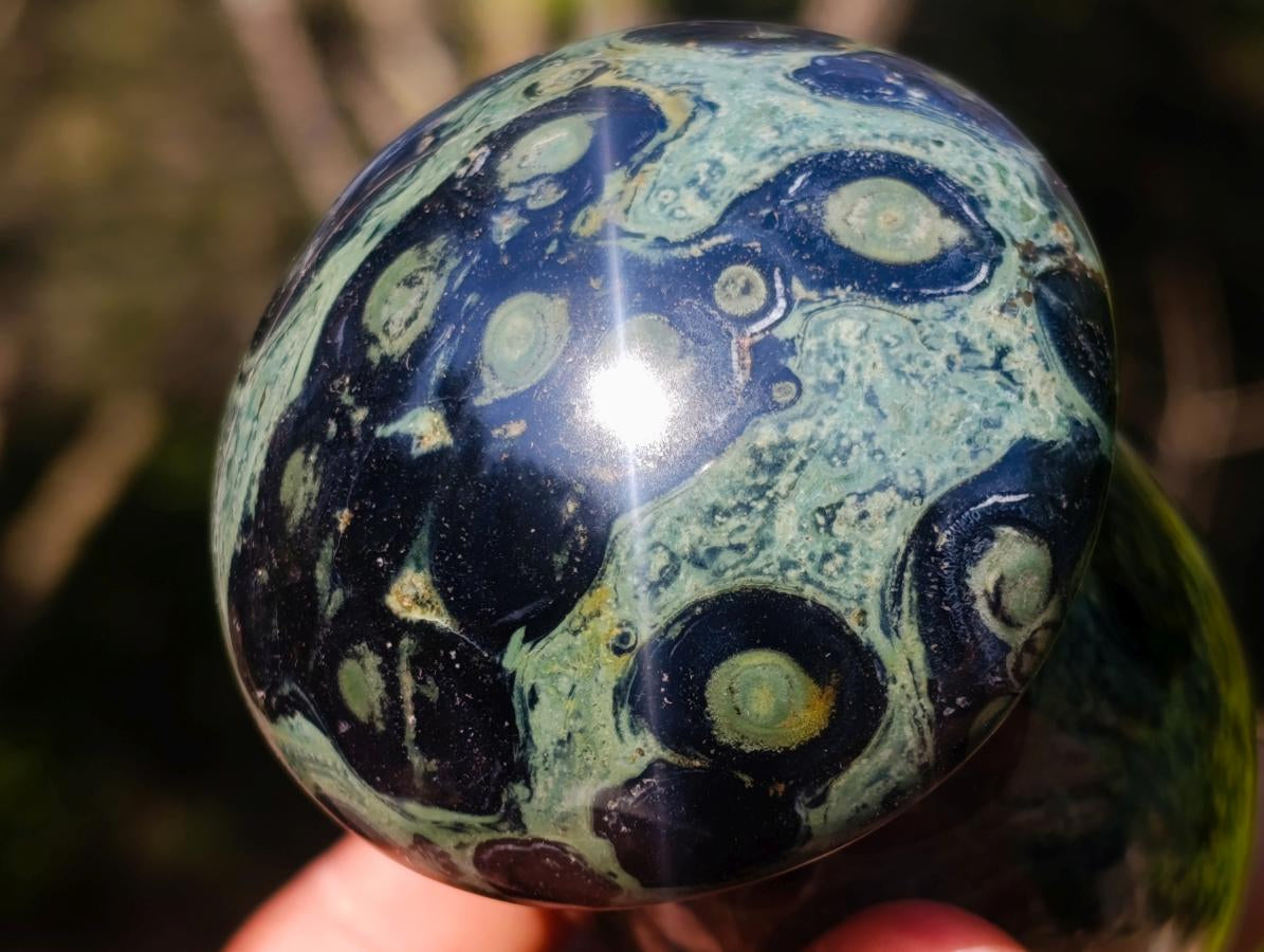Polished Large Stromatolite Mushrooms x 6 From Katsepy, Madagascar - Toprock Gemstones and Minerals 