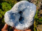 Natural Large Blue Celestite Geode Specimen x 1 From Sakoany, Madagascar - Toprock Gemstones and Minerals 