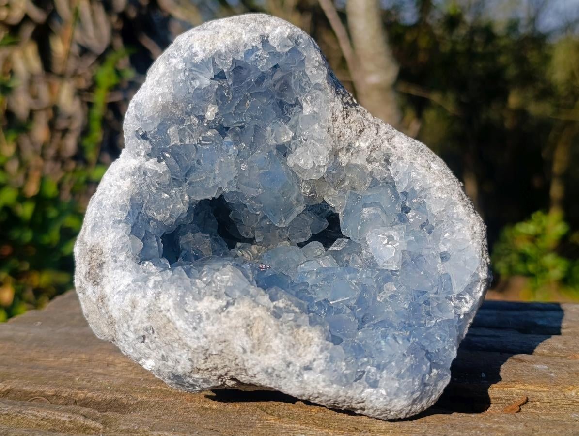 Natural Large Blue Celestite Geode Specimen x 1 From Sakoany, Madagascar - Toprock Gemstones and Minerals 