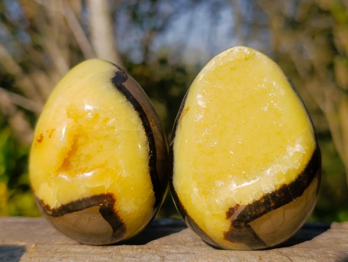 Polished Septerye Sauvage "Dragons Egg" Geodes x 6 From Mahajanga, Madagascar - Toprock Gemstones and Minerals 