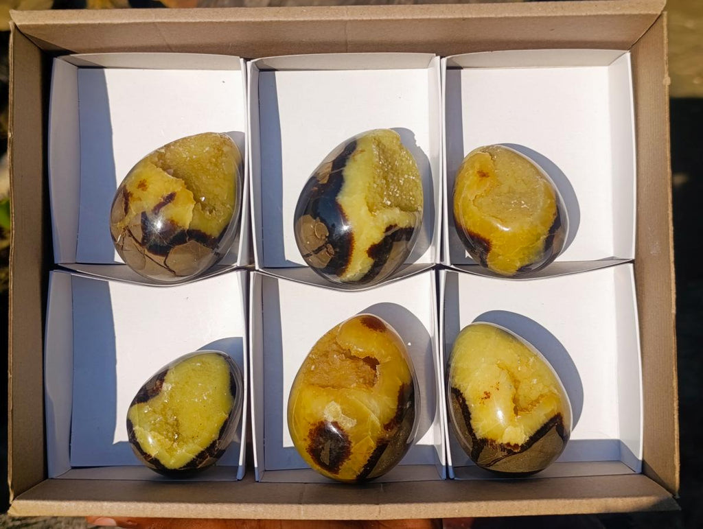 Polished Septerye Sauvage "Dragons Egg" Geodes x 6 From Mahajanga, Madagascar - Toprock Gemstones and Minerals 