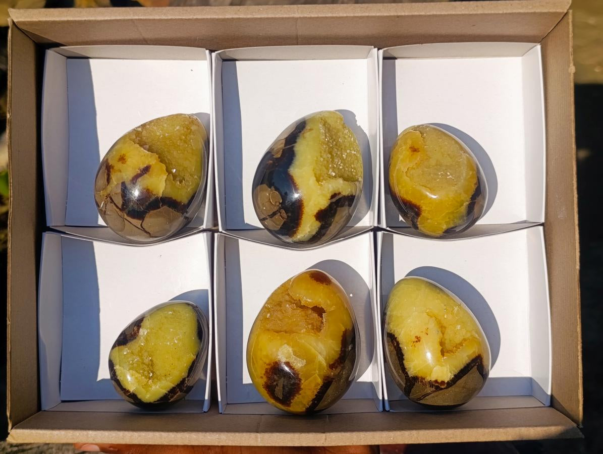 Polished Septerye Sauvage "Dragons Egg" Geodes x 6 From Mahajanga, Madagascar - Toprock Gemstones and Minerals 