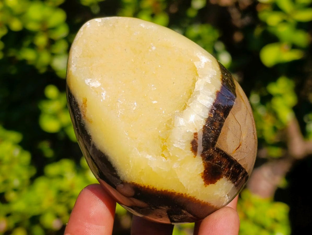 Polished Septerye Sauvage "Dragons Egg" Geodes x 6 From Mahajanga, Madagascar - Toprock Gemstones and Minerals 