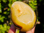 Polished Septerye Sauvage "Dragons Egg" Geodes x 6 From Mahajanga, Madagascar - Toprock Gemstones and Minerals 