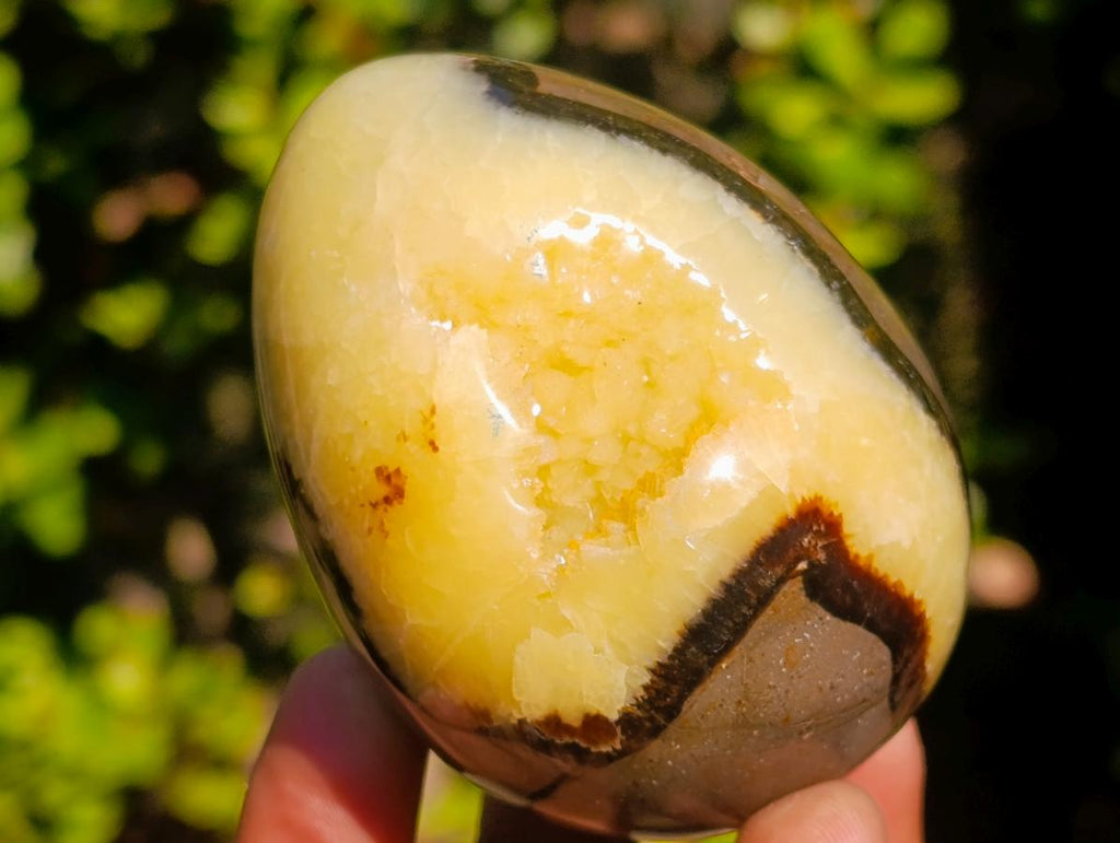 Polished Septerye Sauvage "Dragons Egg" Geodes x 6 From Mahajanga, Madagascar - Toprock Gemstones and Minerals 