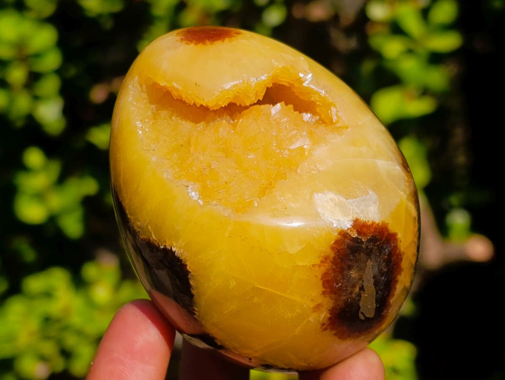 Polished Septerye Sauvage "Dragons Egg" Geodes x 6 From Mahajanga, Madagascar - Toprock Gemstones and Minerals 