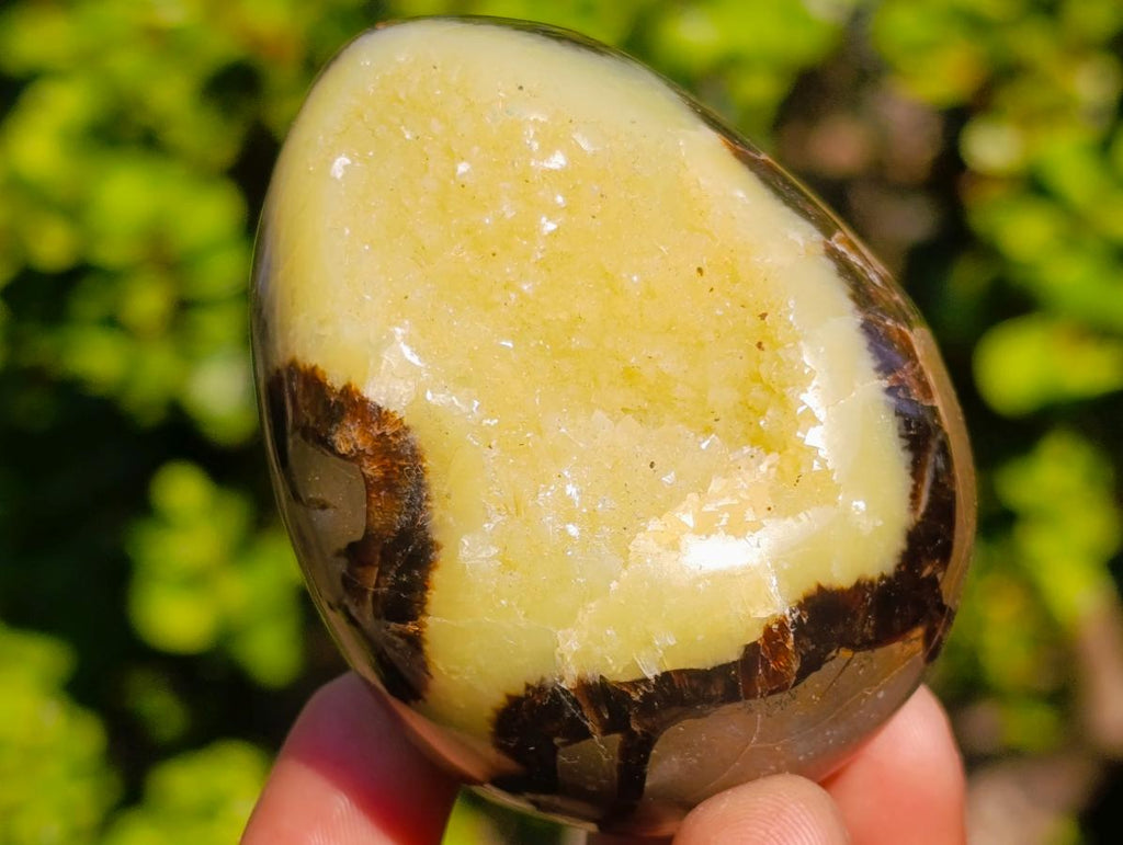 Polished Septerye Sauvage "Dragons Egg" Geodes x 6 From Mahajanga, Madagascar - Toprock Gemstones and Minerals 