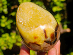 Polished Septerye Sauvage "Dragons Egg" Geodes x 6 From Mahajanga, Madagascar - Toprock Gemstones and Minerals 
