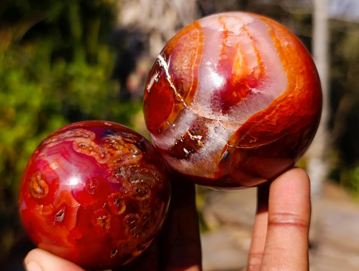 Polished Carnelian Agate Gemstone Spheres x 6 From Madagascar - Toprock Gemstones and Minerals 