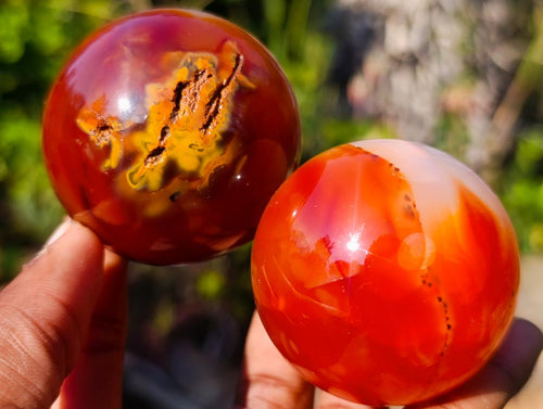 Polished Carnelian Agate Gemstone Spheres x 6 From Madagascar - Toprock Gemstones and Minerals 