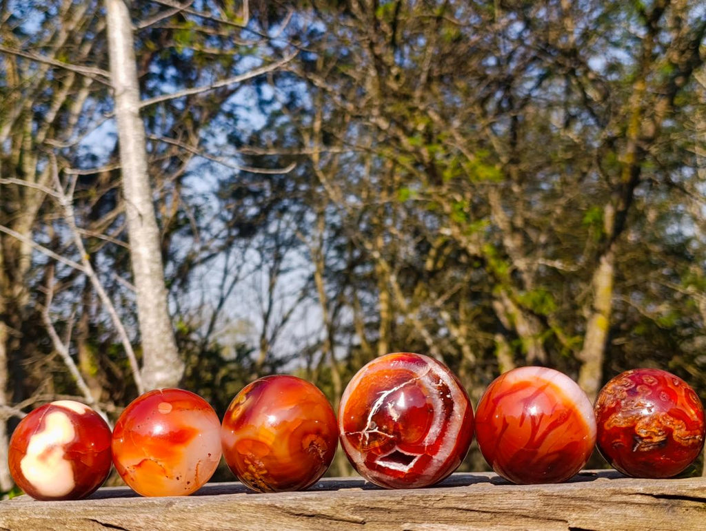 Polished Carnelian Agate Gemstone Spheres x 6 From Madagascar - Toprock Gemstones and Minerals 