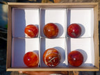 Polished Carnelian Agate Gemstone Spheres x 6 From Madagascar - Toprock Gemstones and Minerals 