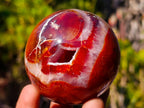 Polished Carnelian Agate Gemstone Spheres x 6 From Madagascar - Toprock Gemstones and Minerals 