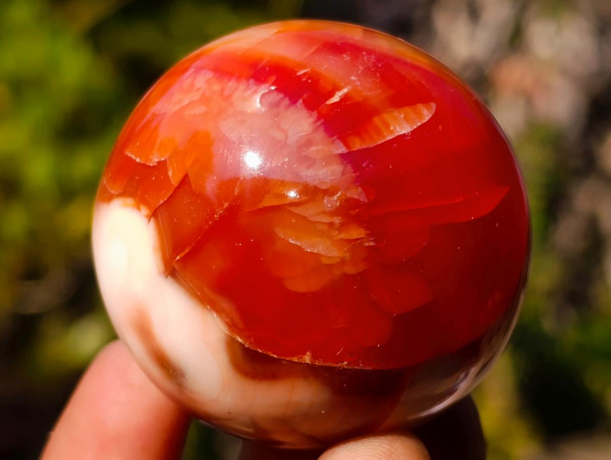 Polished Carnelian Agate Gemstone Spheres x 6 From Madagascar - Toprock Gemstones and Minerals 