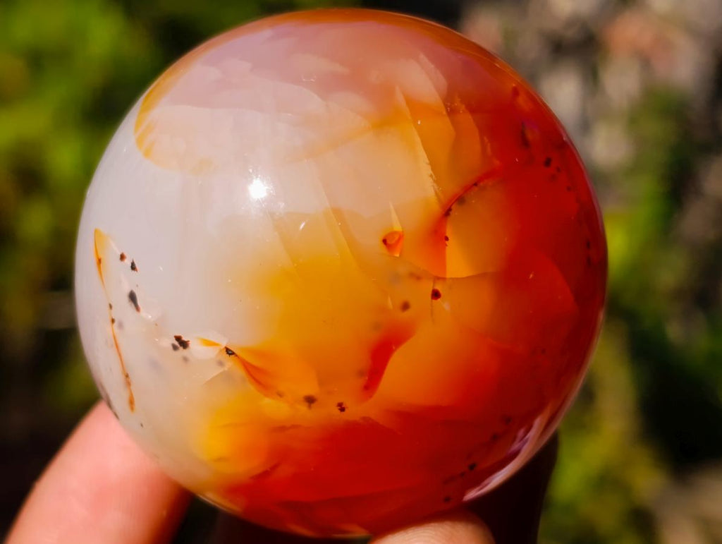 Polished Carnelian Agate Gemstone Spheres x 6 From Madagascar - Toprock Gemstones and Minerals 