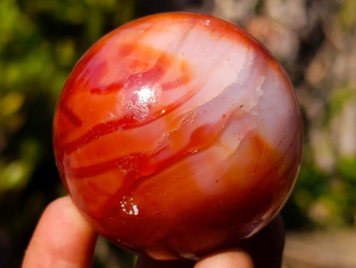 Polished Carnelian Agate Gemstone Spheres x 6 From Madagascar - Toprock Gemstones and Minerals 