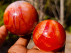 Polished Carnelian Agate Gemstone Spheres x 6 From Madagascar - Toprock Gemstones and Minerals 