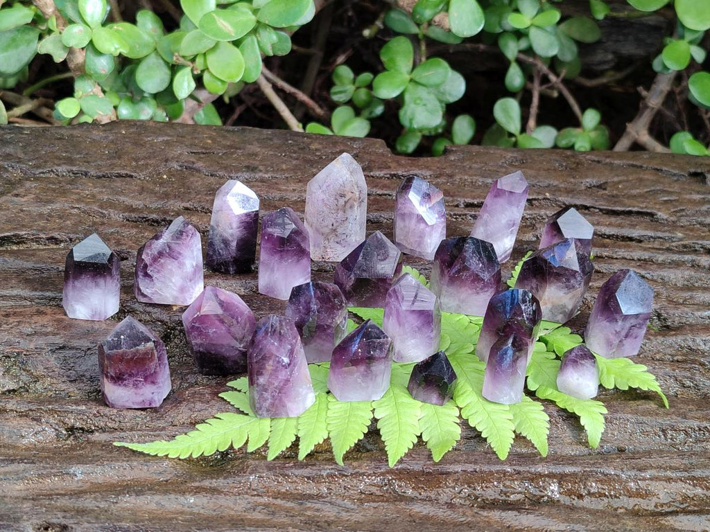 Polished Mini Dark Window Amethyst Crystals x 70 From Akansobe, Madagascar - Toprock Gemstones and Minerals 