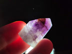 Polished Mini Dark Window Amethyst Crystals x 70 From Akansobe, Madagascar - Toprock Gemstones and Minerals 
