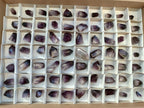 Polished Mini Dark Window Amethyst Crystals x 70 From Akansobe, Madagascar - Toprock Gemstones and Minerals 