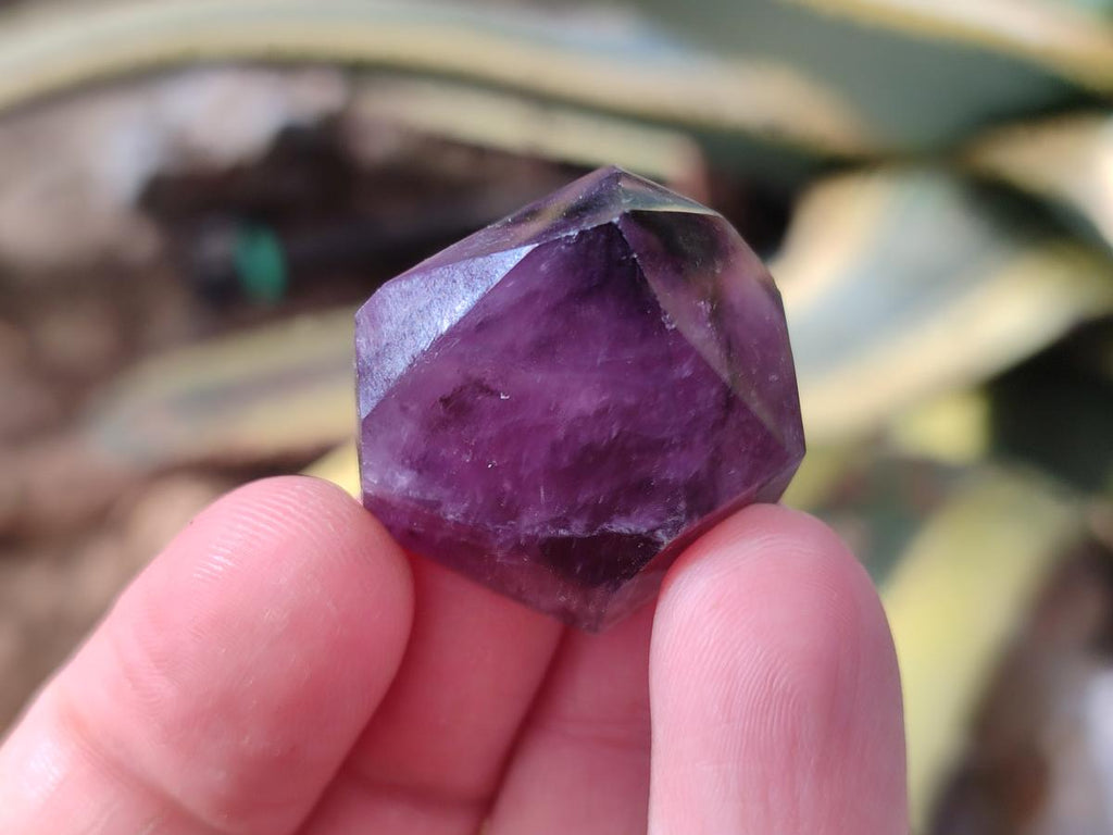 Polished Mini Dark Window Amethyst Crystals x 70 From Akansobe, Madagascar - Toprock Gemstones and Minerals 