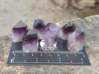 Polished Mini Dark Window Amethyst Crystals x 70 From Akansobe, Madagascar - Toprock Gemstones and Minerals 
