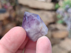 Polished Mini Dark Window Amethyst Crystals x 70 From Akansobe, Madagascar - Toprock Gemstones and Minerals 