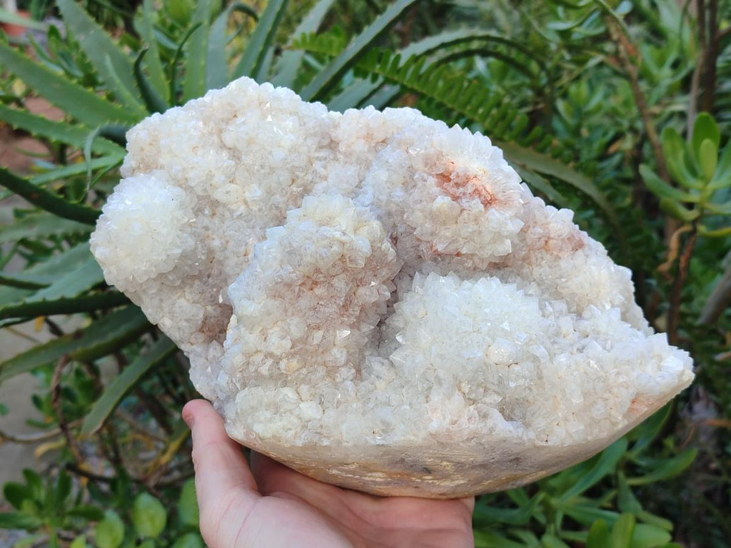 Polished Drusy Cristobalite Snow White Quartz Cluster x 1 from Madagascar - Toprock Gemstones and Minerals 