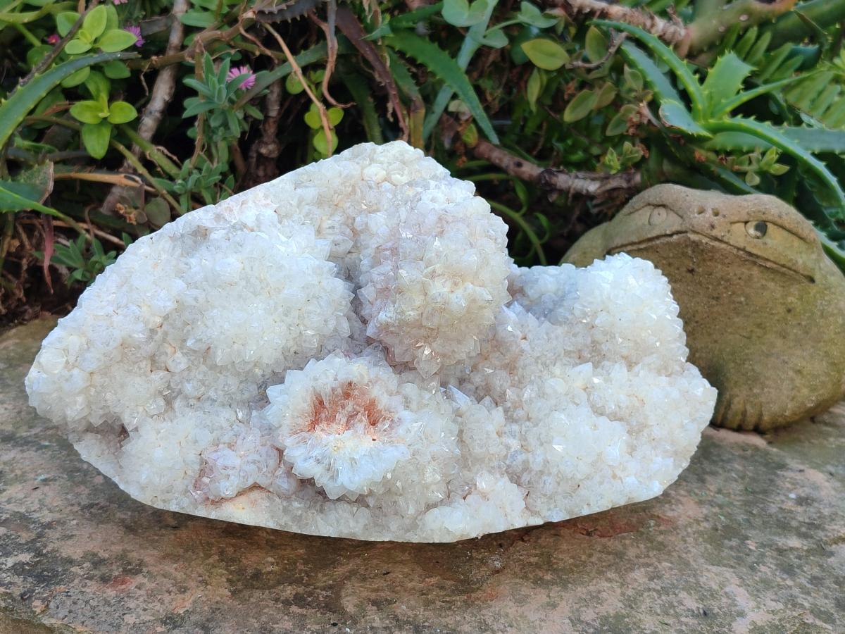 Polished Drusy Cristobalite Snow White Quartz Cluster x 1 from Madagascar - Toprock Gemstones and Minerals 