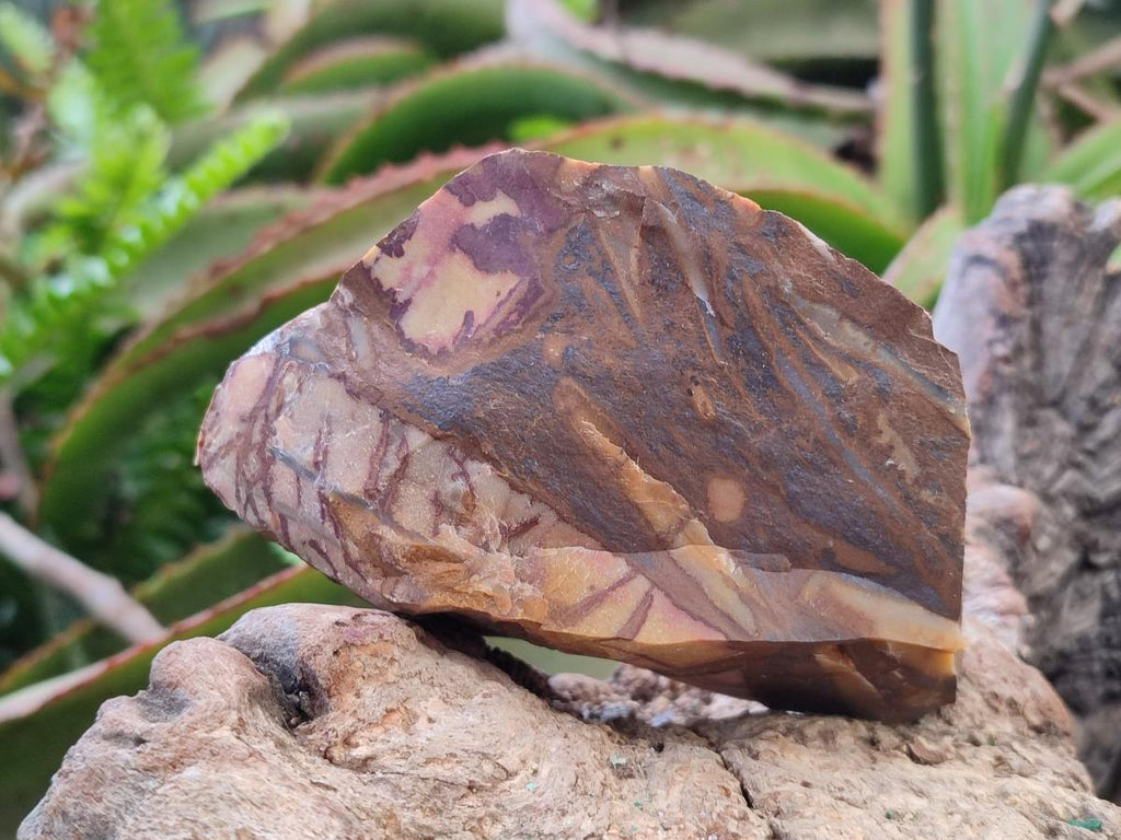 Natural Nguni Jasper Cobbed Specimens x 24 From Northern Cape, South Africa - Toprock Gemstones and Minerals 