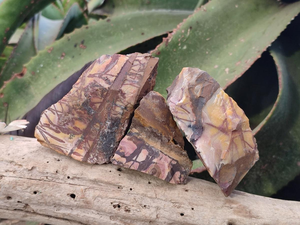 Natural Nguni Jasper Cobbed Specimens x 24 From Northern Cape, South Africa - Toprock Gemstones and Minerals 