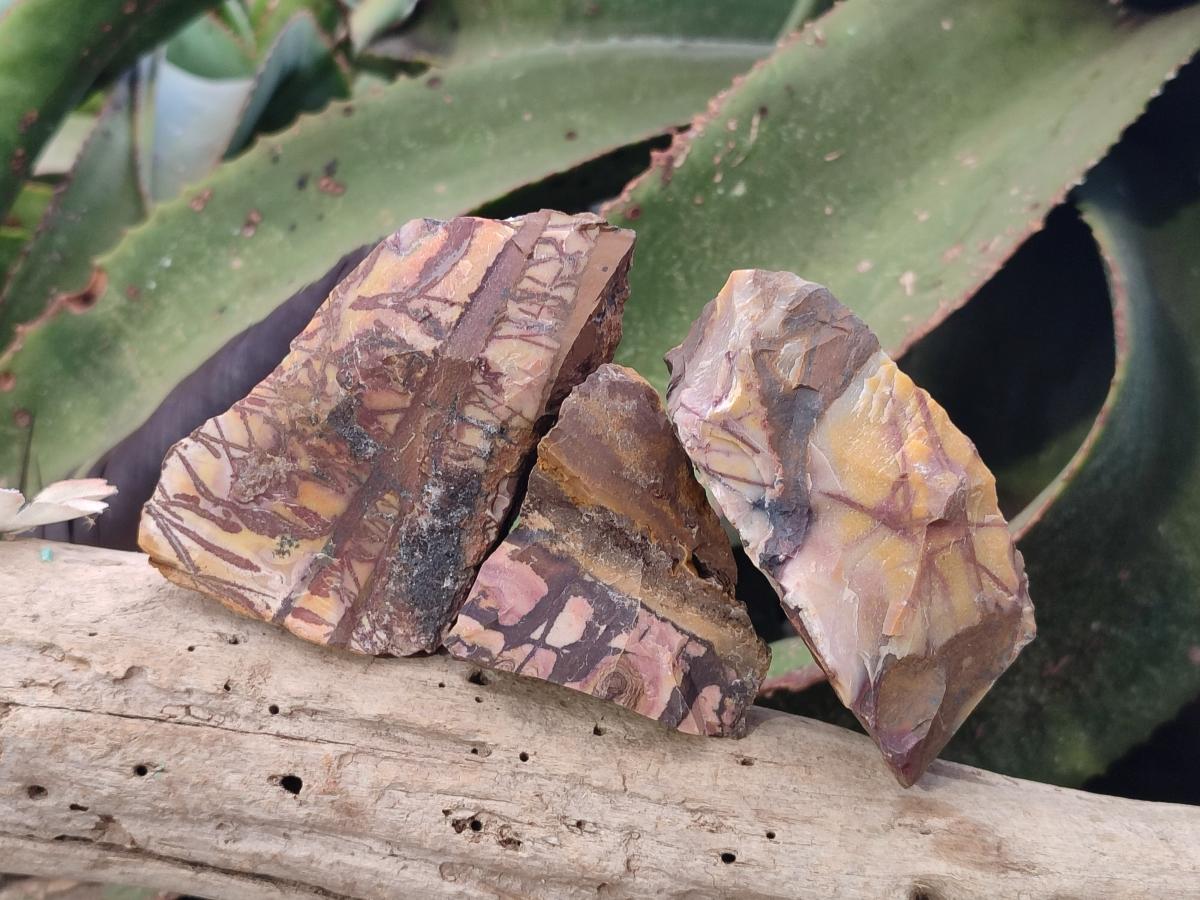 Natural Nguni Jasper Cobbed Specimens x 24 From Northern Cape, South Africa - Toprock Gemstones and Minerals 