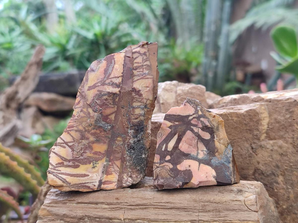 Natural Nguni Jasper Cobbed Specimens x 24 From Northern Cape, South Africa - Toprock Gemstones and Minerals 