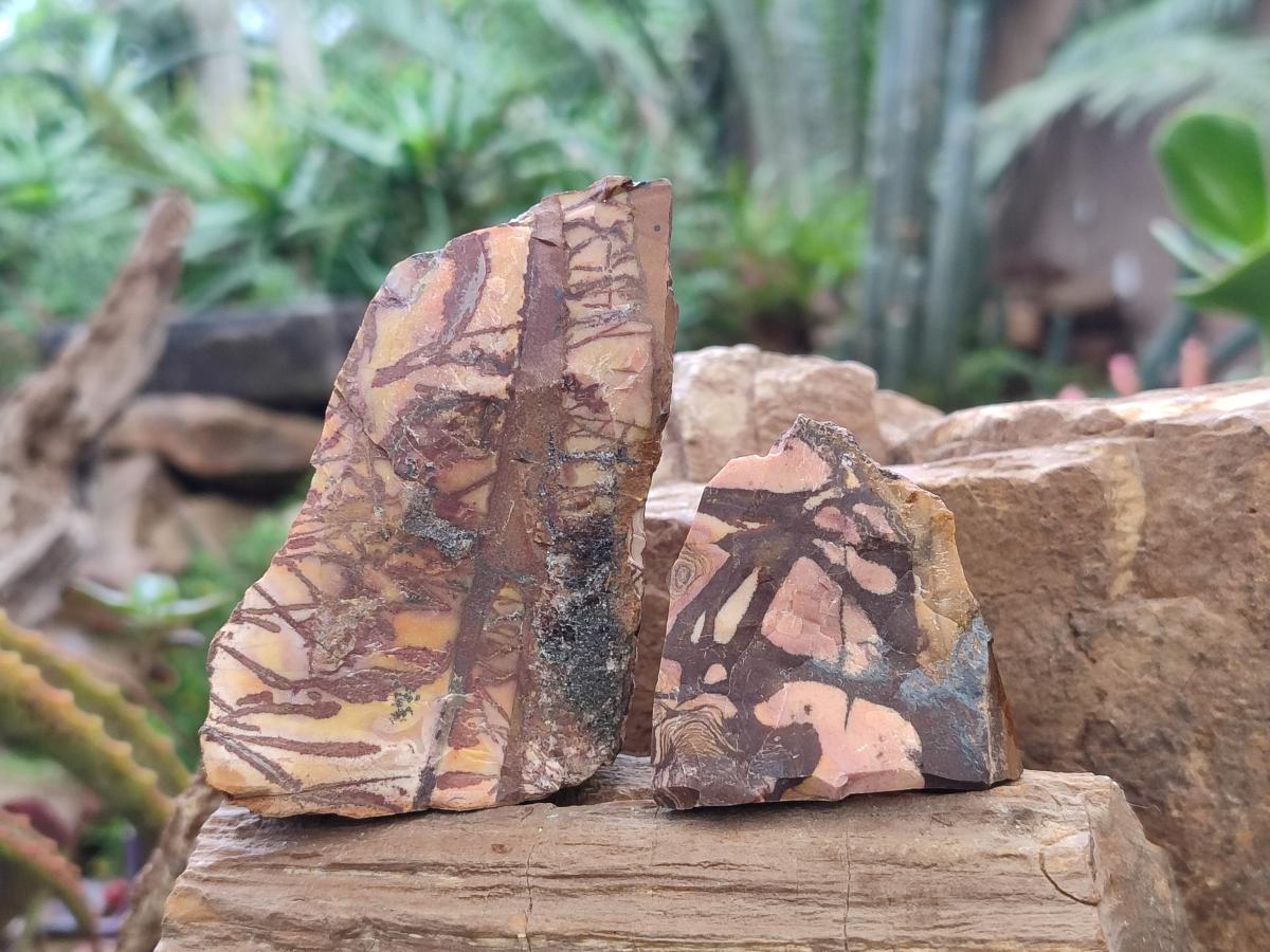 Natural Nguni Jasper Cobbed Specimens x 24 From Northern Cape, South Africa - Toprock Gemstones and Minerals 