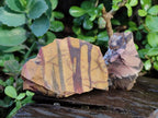 Natural Nguni Jasper Cobbed Specimens x 24 From Northern Cape, South Africa - Toprock Gemstones and Minerals 