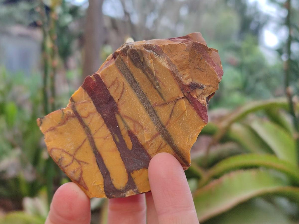Natural Nguni Jasper Cobbed Specimens x 24 From Northern Cape, South Africa - Toprock Gemstones and Minerals 