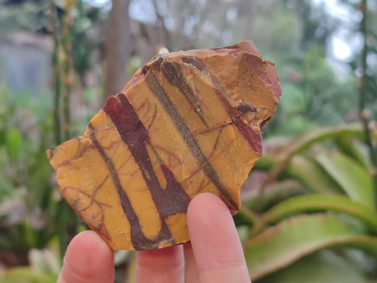 Natural Nguni Jasper Cobbed Specimens x 24 From Northern Cape, South Africa - Toprock Gemstones and Minerals 