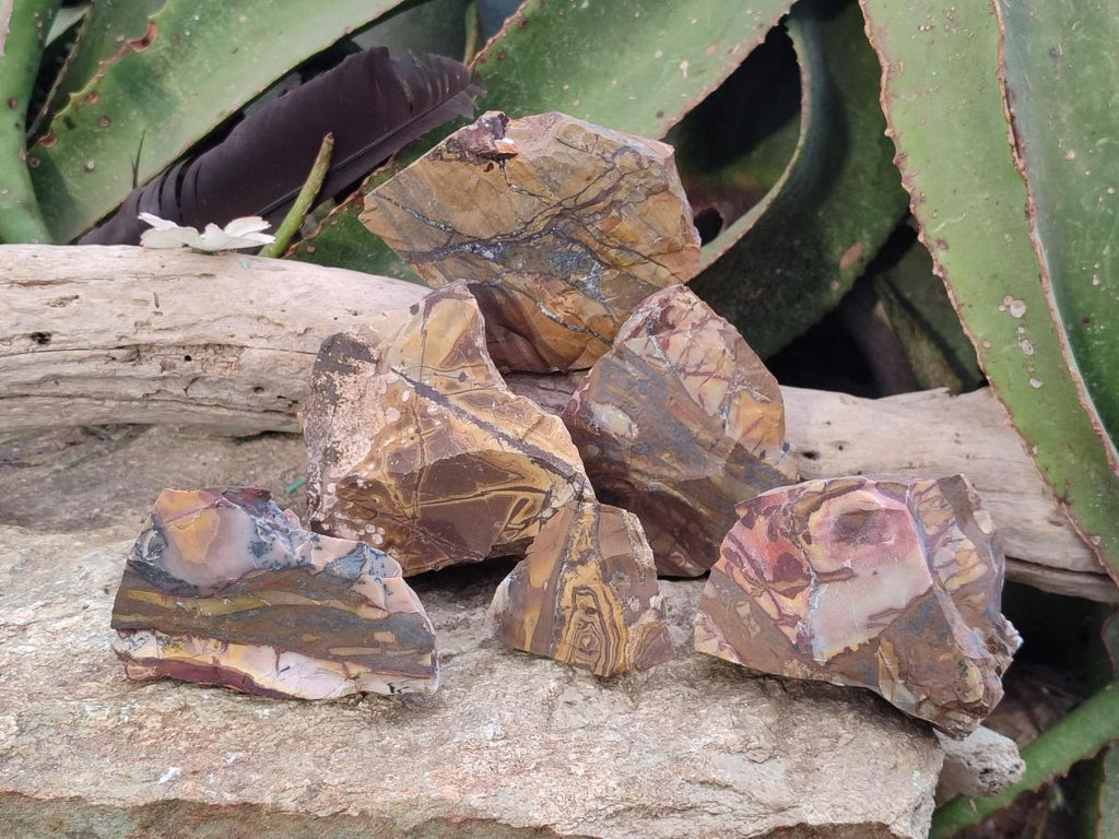 Natural Nguni Jasper Cobbed Specimens x 24 From Northern Cape, South Africa - Toprock Gemstones and Minerals 