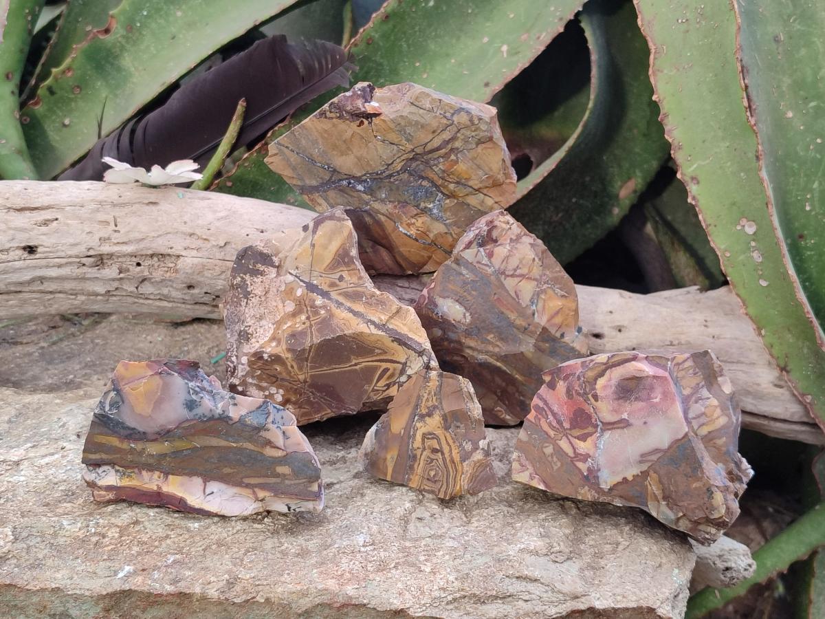 Natural Nguni Jasper Cobbed Specimens x 24 From Northern Cape, South Africa - Toprock Gemstones and Minerals 