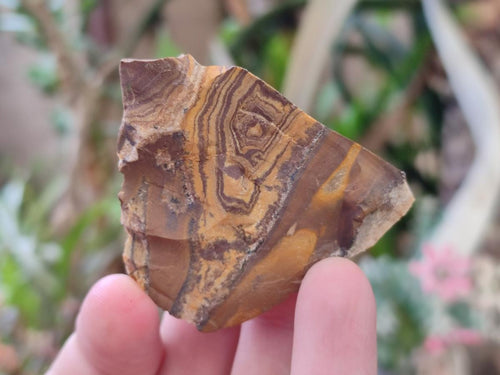 Natural Nguni Jasper Cobbed Specimens x 24 From Northern Cape, South Africa - Toprock Gemstones and Minerals 
