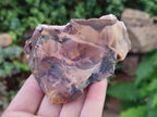 Natural Nguni Jasper Cobbed Specimens x 24 From Northern Cape, South Africa - Toprock Gemstones and Minerals 