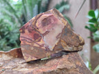 Natural Nguni Jasper Cobbed Specimens x 24 From Northern Cape, South Africa - Toprock Gemstones and Minerals 