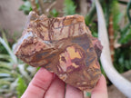 Natural Nguni Jasper Cobbed Specimens x 24 From Northern Cape, South Africa - Toprock Gemstones and Minerals 