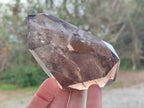 Polished Smokey Quartz Crystals x 3 From Madagascar - Toprock Gemstones and Minerals 