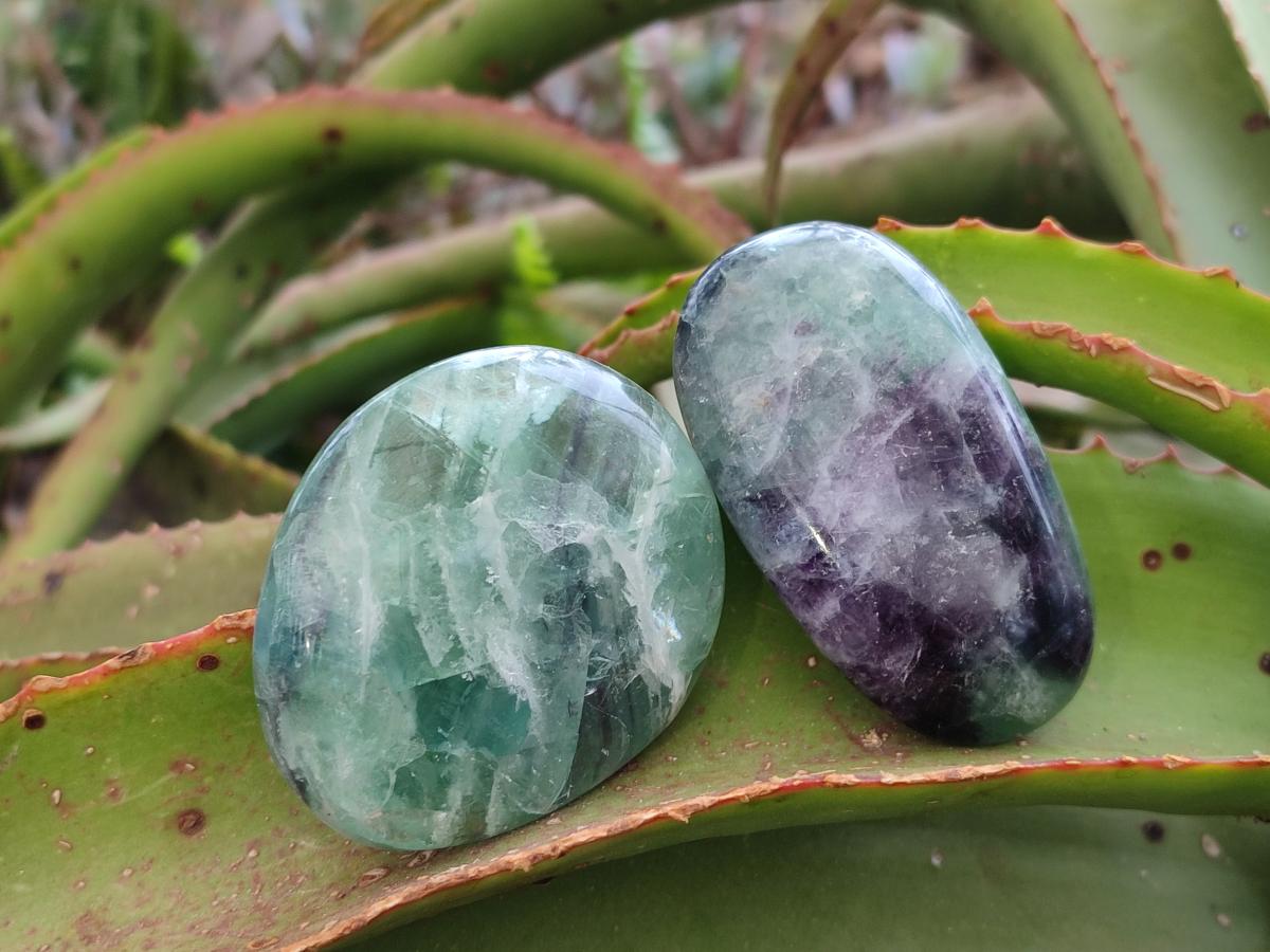 Polished Watermelon Fluorite Palm Stones x 12 From Uis, Namibia - Toprock Gemstones and Minerals 
