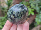 Polished Stromatolite Eggs x 12 From Katsepy, Madagascar - Toprock Gemstones and Minerals 