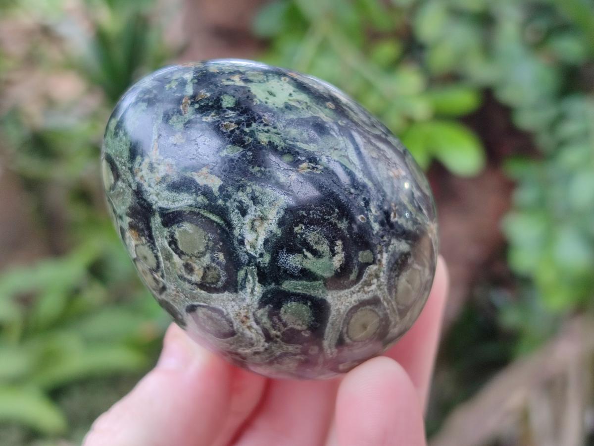Polished Stromatolite Eggs x 12 From Katsepy, Madagascar - Toprock Gemstones and Minerals 